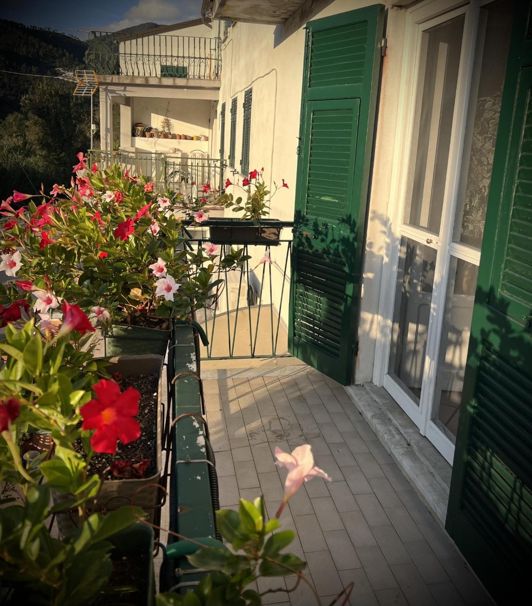 Evelyn'S Home - Giardino&Bbq セストリ・レヴァンテ エクステリア 写真